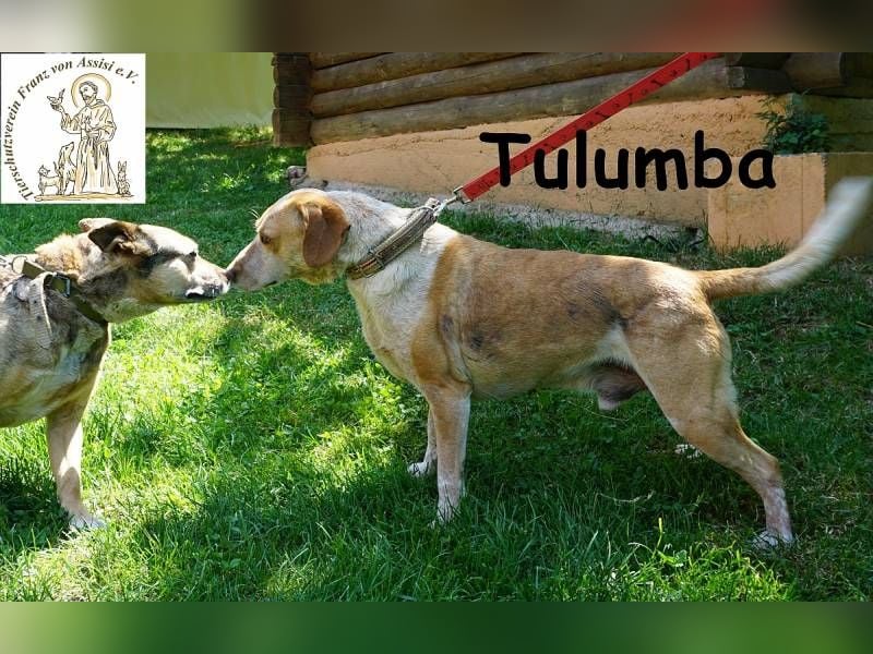 Tulumba – verschlafen schauen, sich verlieben – fertig!