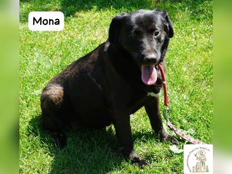 Mona – Die Lady mit dem gewissen Etwas!
