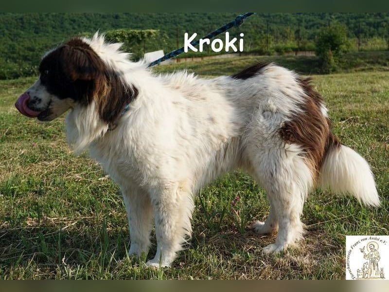 Kroki – Ein Blick, der genügt