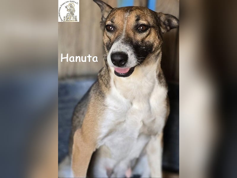 Hanuta – die Seele einer Mama, die nach Freiheit sucht! Hanuta – die Seele einer Mama, die nach Freiheit sucht!