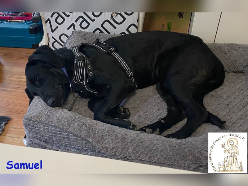 Samuel – der liebevolle Teenager