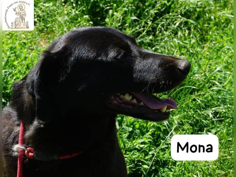 Mona – Die Lady mit dem gewissen Etwas!