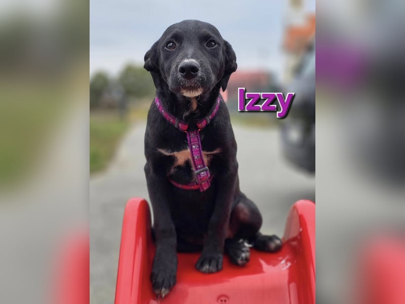 Izzy ❤️