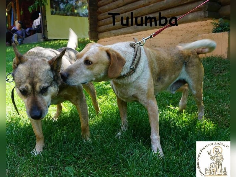 Tulumba – verschlafen schauen, sich verlieben – fertig!