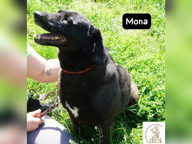 Mona – Die Lady mit dem gewissen Etwas!