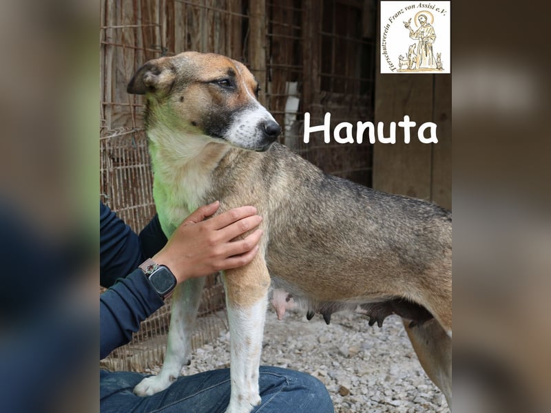 Hanuta – die Seele einer Mama, die nach Freiheit sucht! Hanuta – die Seele einer Mama, die nach Freiheit sucht!
