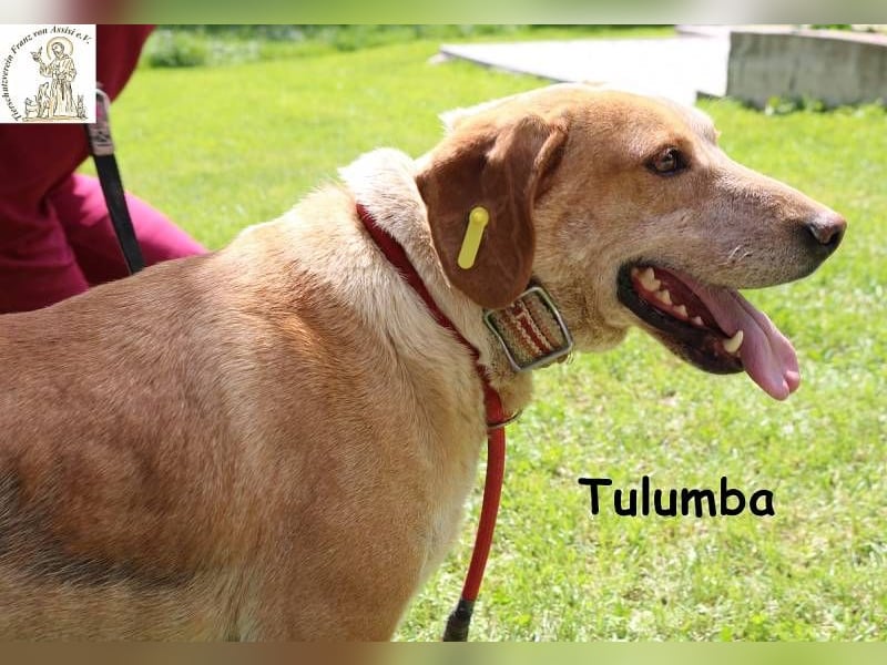 Tulumba – verschlafen schauen, sich verlieben – fertig!