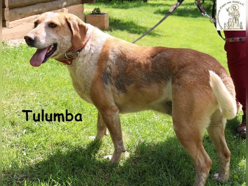 Tulumba – verschlafen schauen, sich verlieben – fertig!