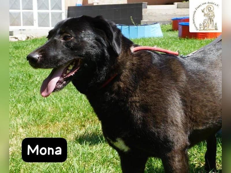 Mona – Die Lady mit dem gewissen Etwas!