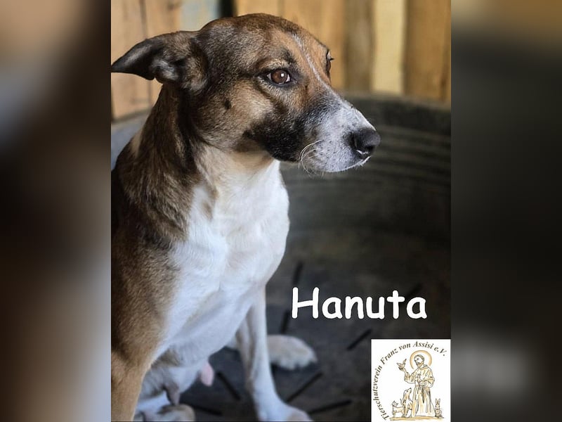 Hanuta – die Seele einer Mama, die nach Freiheit sucht! Hanuta – die Seele einer Mama, die nach Freiheit sucht!