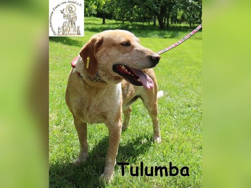 Tulumba – verschlafen schauen, sich verlieben – fertig!