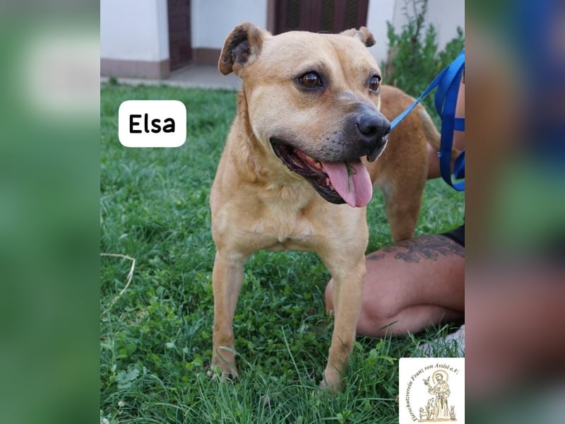 Elsa – Kuscheln, Freiheit und Abenteuer: Elsas Rezept fürs Glück!