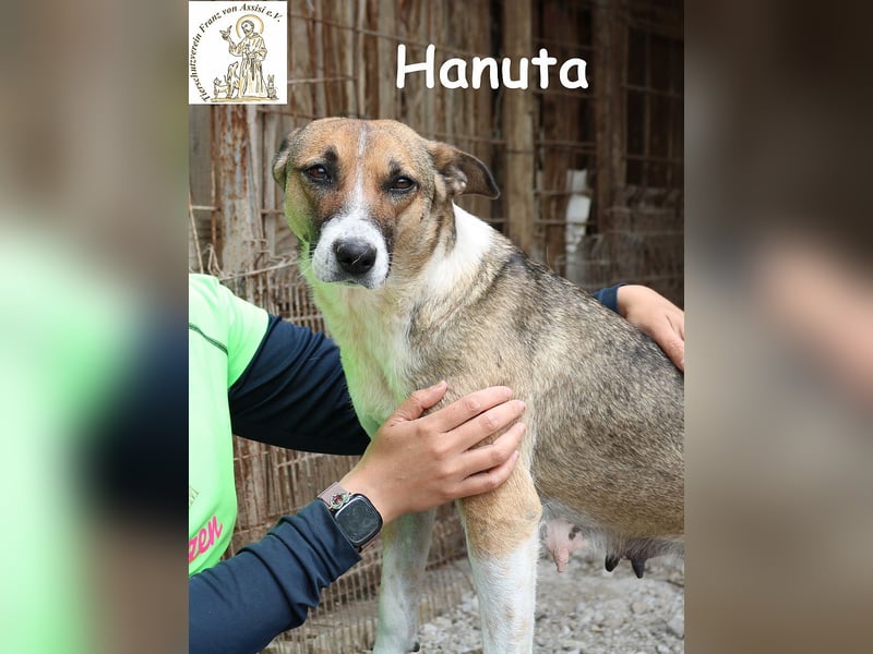 Hanuta – die Seele einer Mama, die nach Freiheit sucht! Hanuta – die Seele einer Mama, die nach Freiheit sucht!