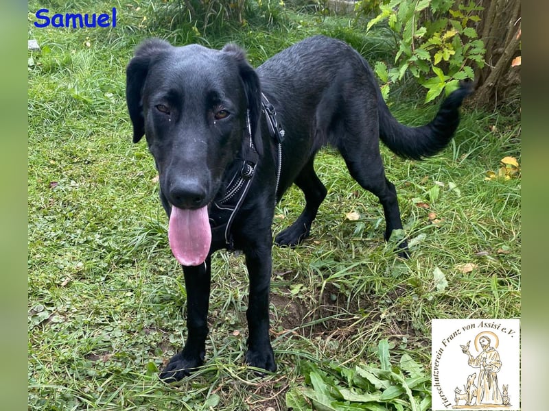 Samuel – der liebevolle Teenager