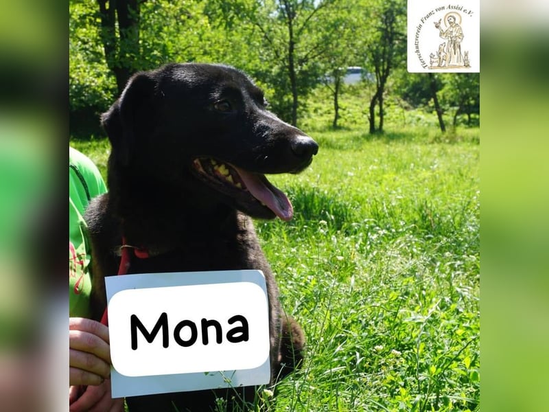 Mona – Die Lady mit dem gewissen Etwas!