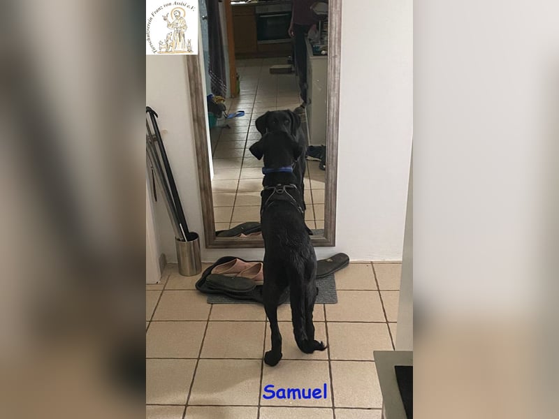 Samuel – der liebevolle Teenager
