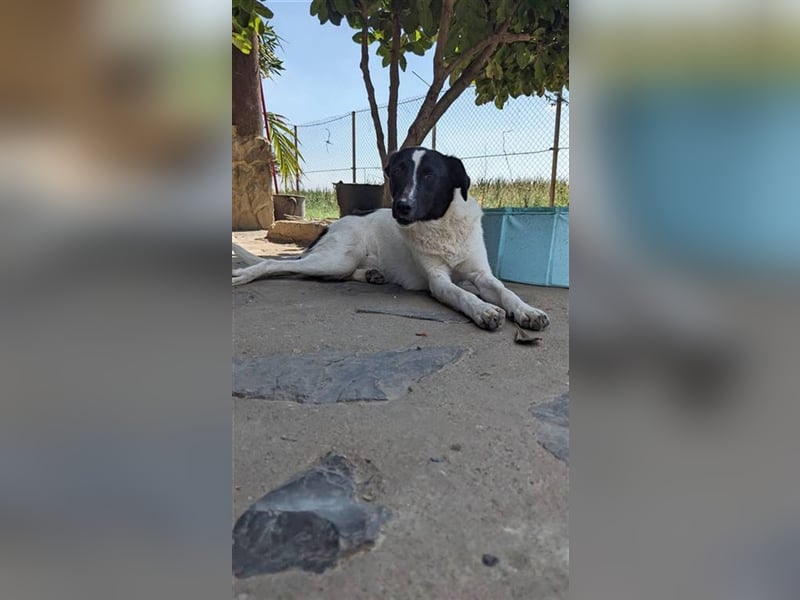 Yvi möchte endlich gesehen werden