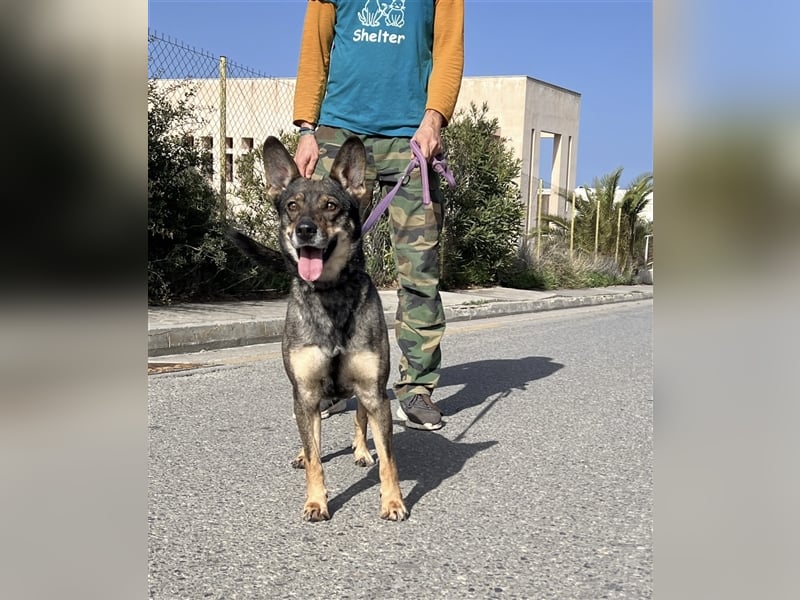 Wunderschöne Melina sucht Familie