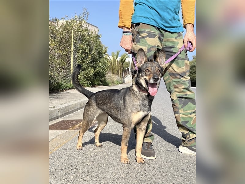 Wunderschöne Melina sucht Familie