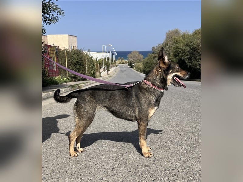 Wunderschöne Melina sucht Familie