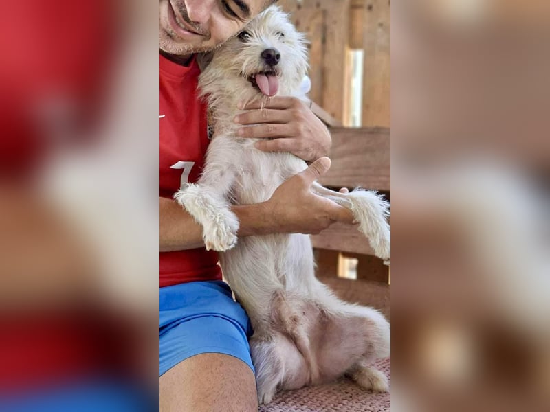 Lucky – Junghund voller Lebensfreude