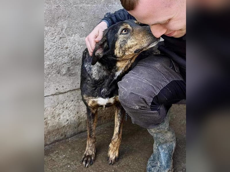 Schüchterne Liri - freundlich und verschmust