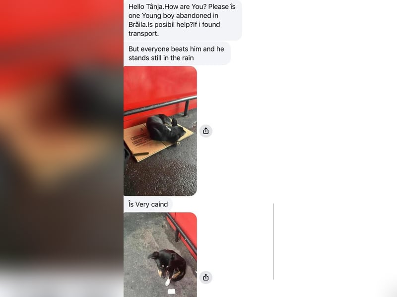 Berry - dankbar, aber noch schüchtern & ängstlich