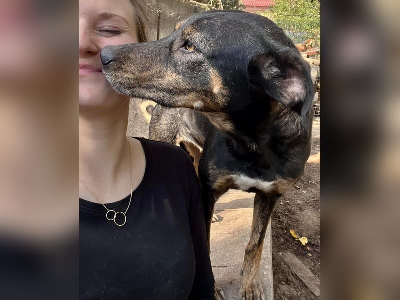 Schüchterne Liri - freundlich und verschmust