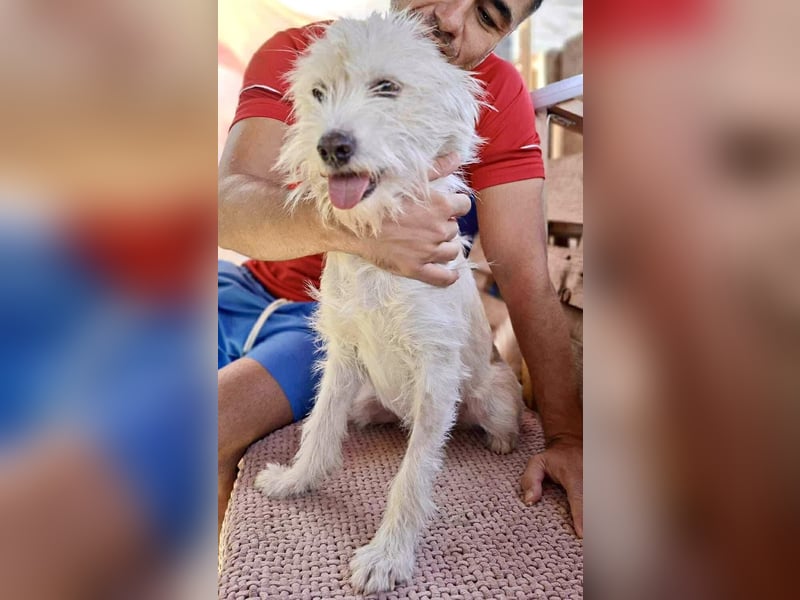 Lucky – Junghund voller Lebensfreude