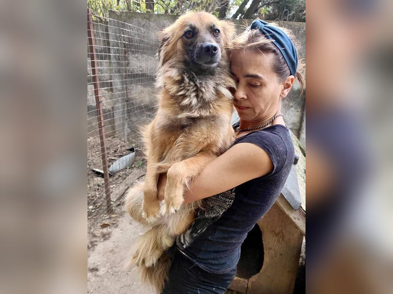 Freundliche Linda ist verspielt und verträglich