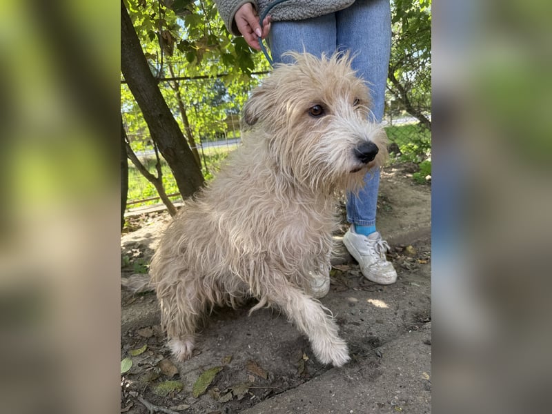 Pite - ist was ganz besonderes