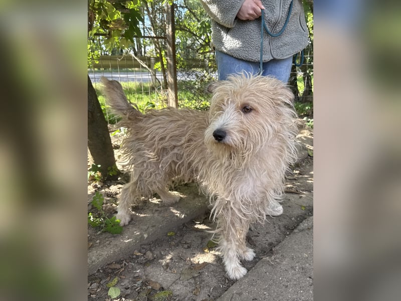 Pite - ist was ganz besonderes