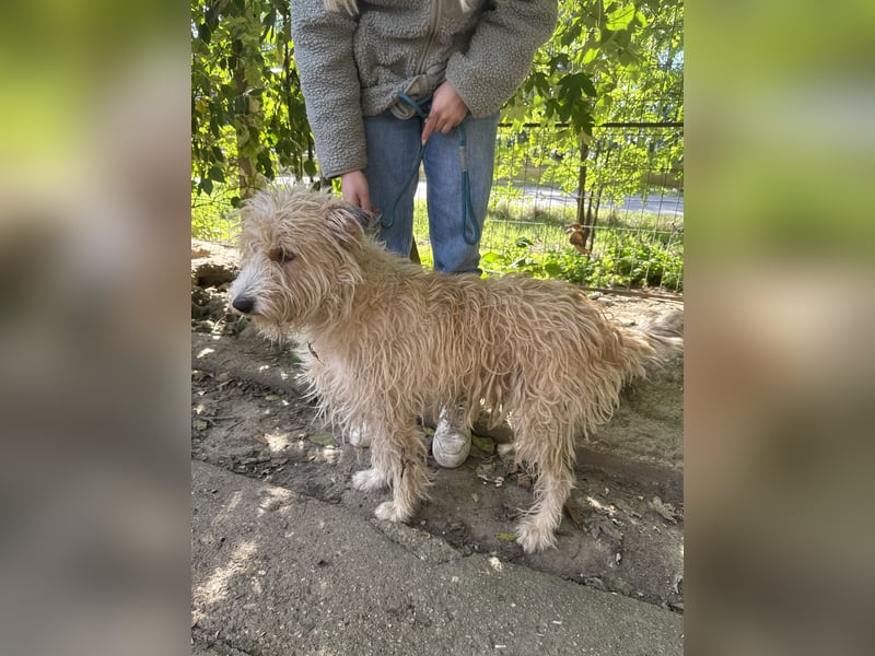 Pite - ist was ganz besonderes