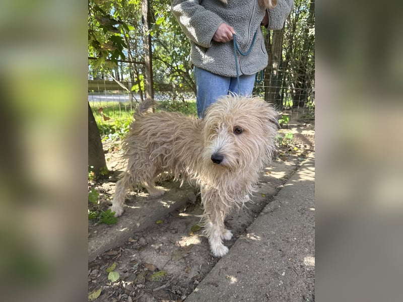 Pite - ist was ganz besonderes