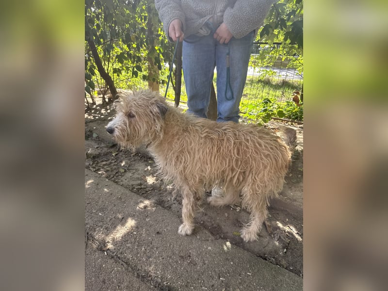 Pite - ist was ganz besonderes