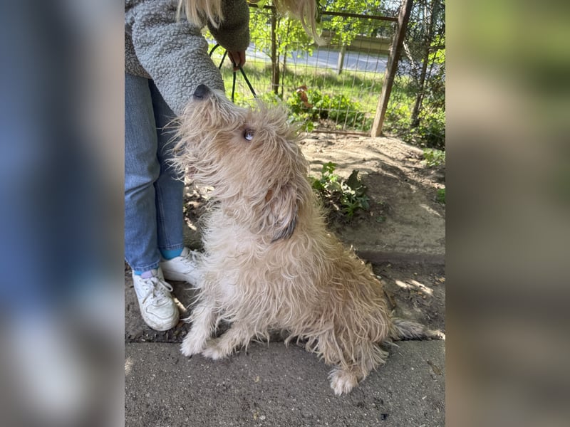 Pite - ist was ganz besonderes