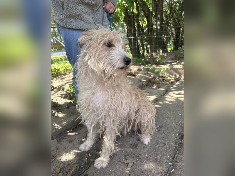 Pite - ist was ganz besonderes