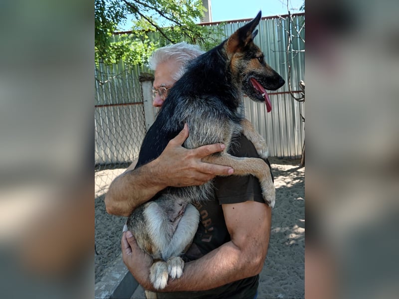 Norka - diesen Hund sollte man kennenlernen