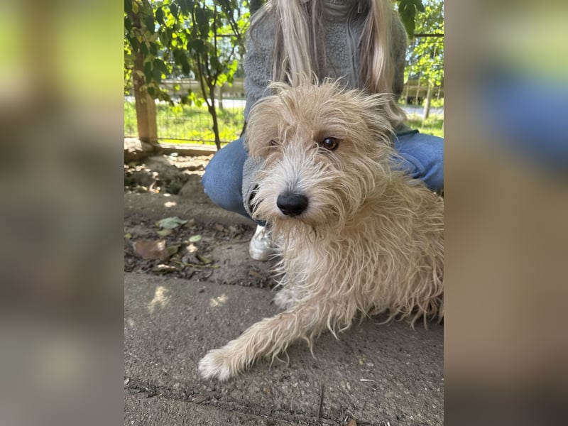 Pite - ist was ganz besonderes