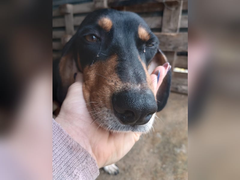 Flocke - So viel verloren, so viel Liebe zu geben