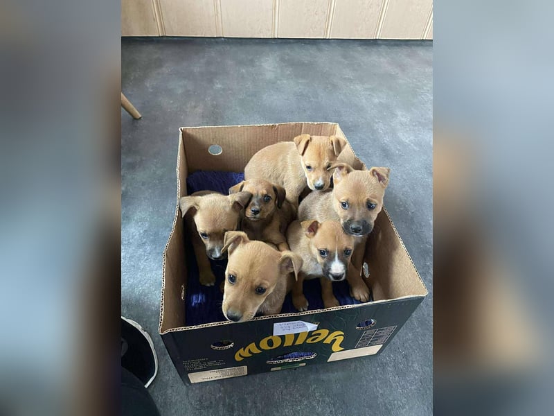 Sidonia sucht eine sportliche Familie
