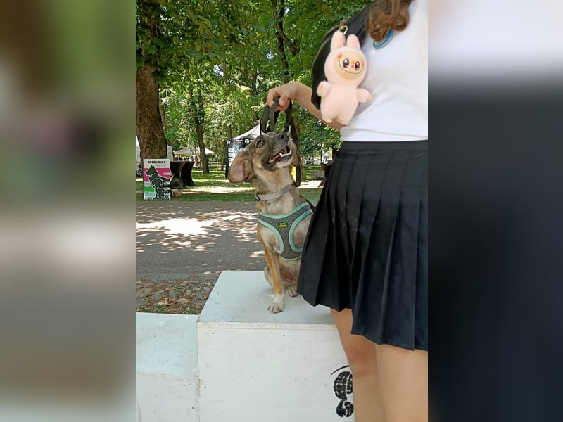 Süße Dale sucht ihr eigenes Zuhause Süße Dale sucht ihr eigenes Zuhause