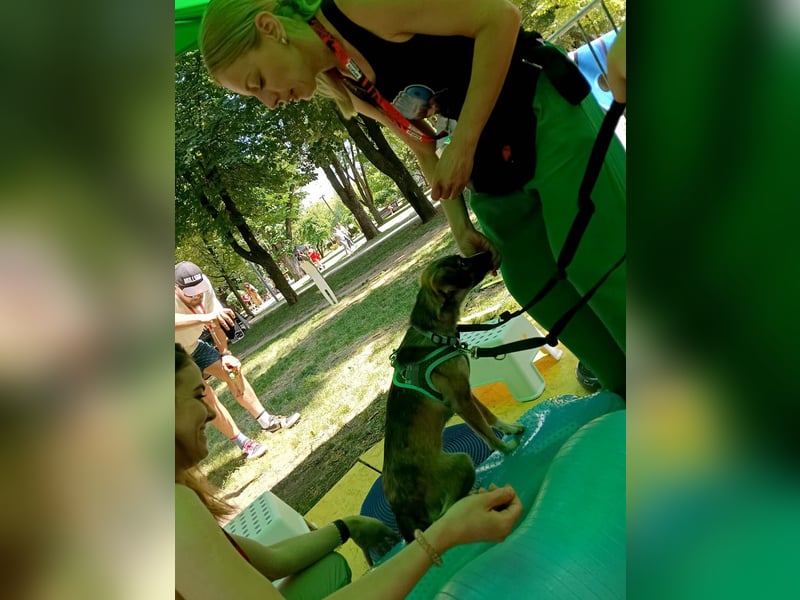 Süße Dale sucht ihr eigenes Zuhause Süße Dale sucht ihr eigenes Zuhause