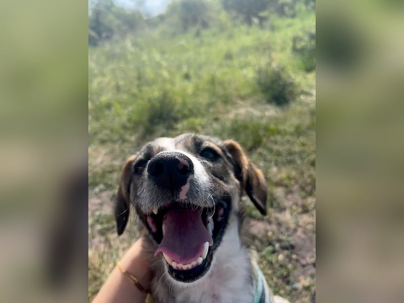 Süße Dale sucht ihr eigenes Zuhause Süße Dale sucht ihr eigenes Zuhause