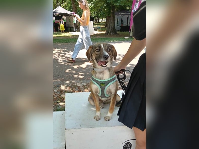 Süße Dale sucht ihr eigenes Zuhause Süße Dale sucht ihr eigenes Zuhause