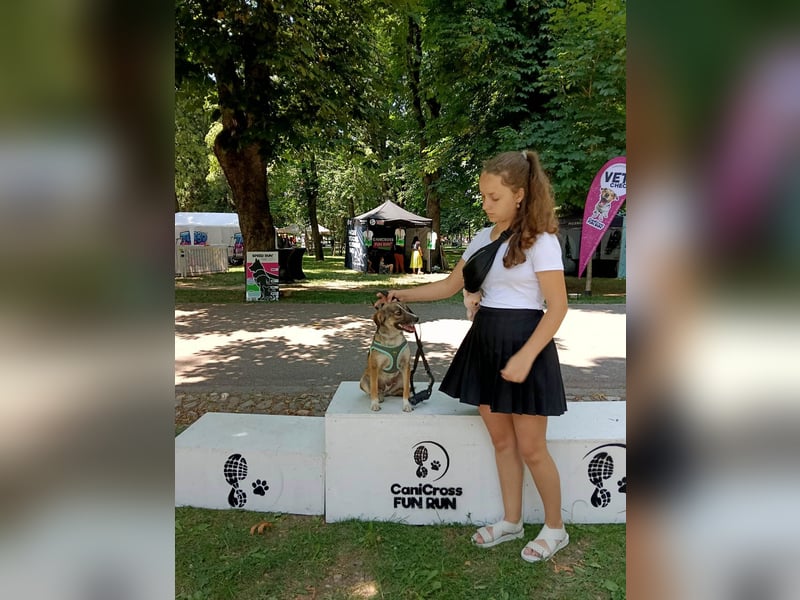 Süße Dale sucht ihr eigenes Zuhause Süße Dale sucht ihr eigenes Zuhause