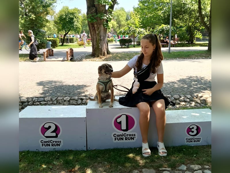 Süße Dale sucht ihr eigenes Zuhause Süße Dale sucht ihr eigenes Zuhause