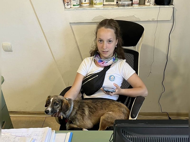 Süße Dale sucht ihr eigenes Zuhause Süße Dale sucht ihr eigenes Zuhause