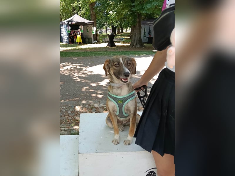 Süße Dale sucht ihr eigenes Zuhause Süße Dale sucht ihr eigenes Zuhause