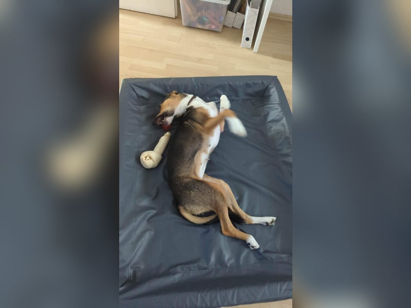 HENRIKE ❤ (wird mittlerweile „Awa“ genannt)  wartet in 90478 Nürnberg auf Dich